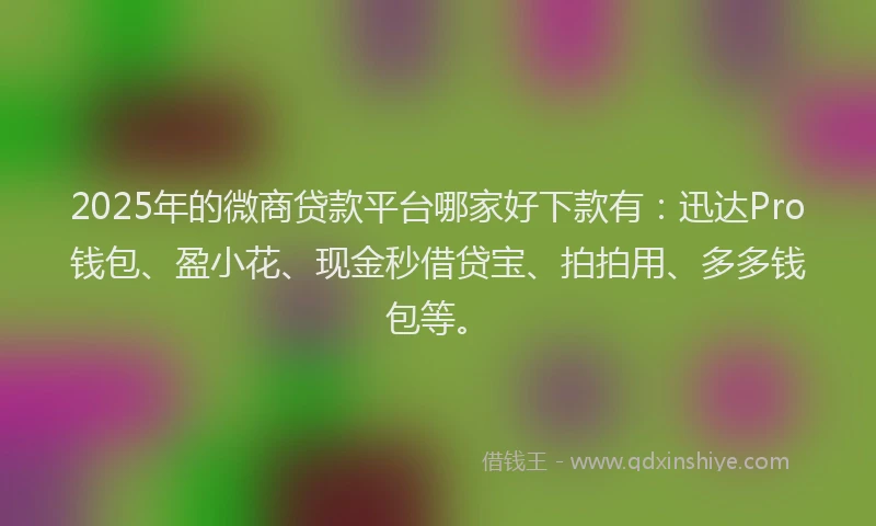 2025年的微商贷款平台哪家好下款有：迅达Pro钱包、盈小花、现金秒借贷宝、拍拍用、多多钱包等。