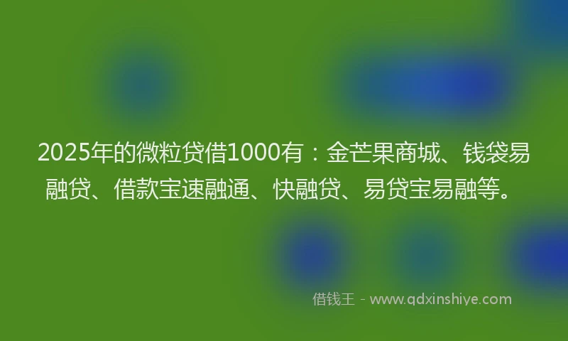 2025年的微粒贷借1000有：金芒果商城、钱袋易融贷、借款宝速融通、快融贷、易贷宝易融等。