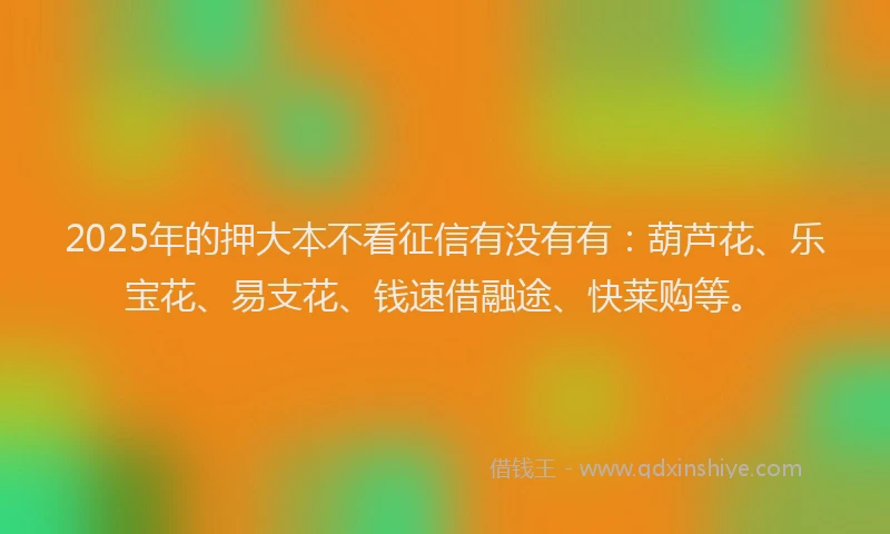 2025年的押大本不看征信有没有有：葫芦花、乐宝花、易支花、钱速借融途、快莱购等。