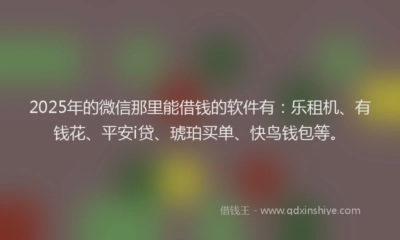 2025年的微信那里能借钱的软件有：乐租机、有钱花、平安i贷、琥珀买单、快鸟钱包等。