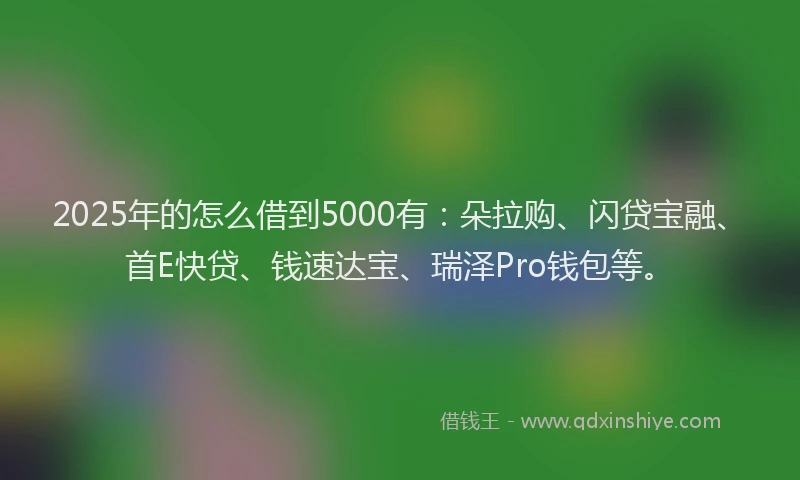 2025年的怎么借到5000有：朵拉购、闪贷宝融、首E快贷、钱速达宝、瑞泽Pro钱包等。
