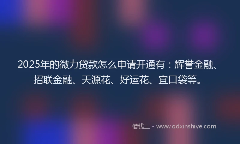 2025年的微力贷款怎么申请开通有：辉誉金融、招联金融、天源花、好运花、宜口袋等。