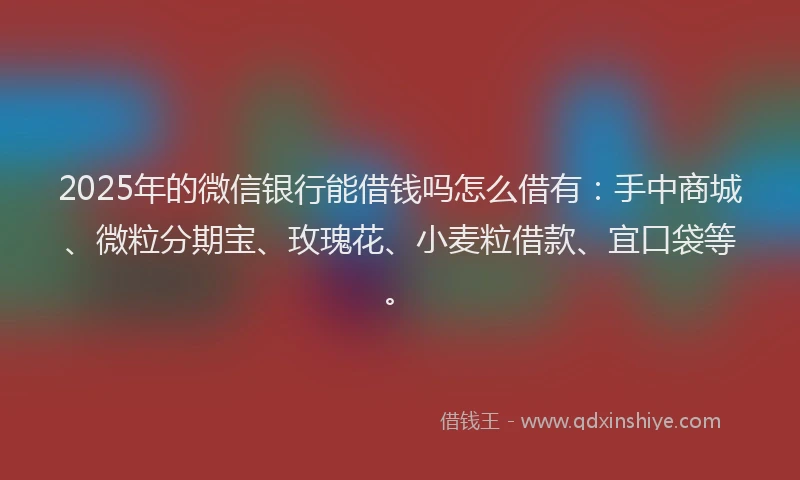2025年的微信银行能借钱吗怎么借有：手中商城、微粒分期宝、玫瑰花、小麦粒借款、宜口袋等。