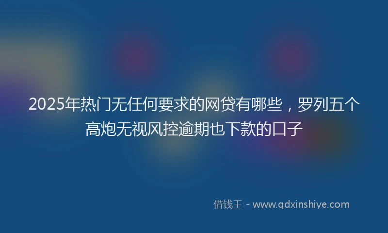 2025年热门无任何要求的网贷有哪些，罗列五个高炮无视风控逾期也下款的口子