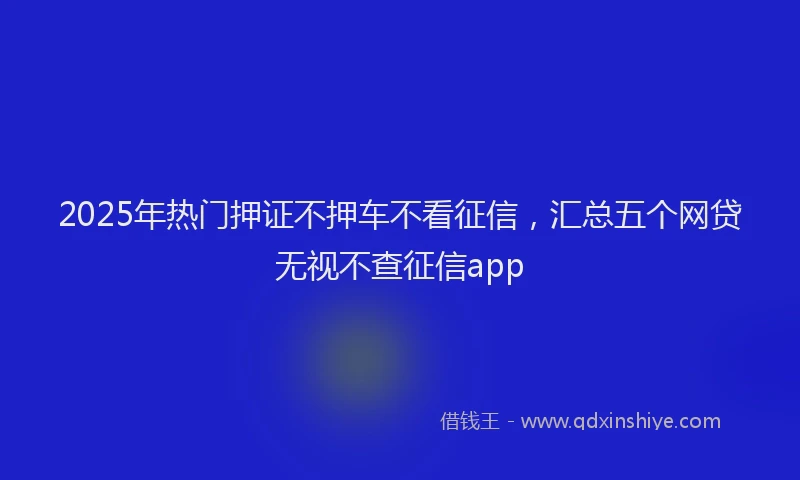 2025年热门押证不押车不看征信，汇总五个网贷无视不查征信app