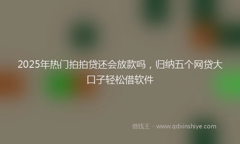 2025年热门拍拍贷还会放款吗，归纳五个网贷大口子轻松借软件