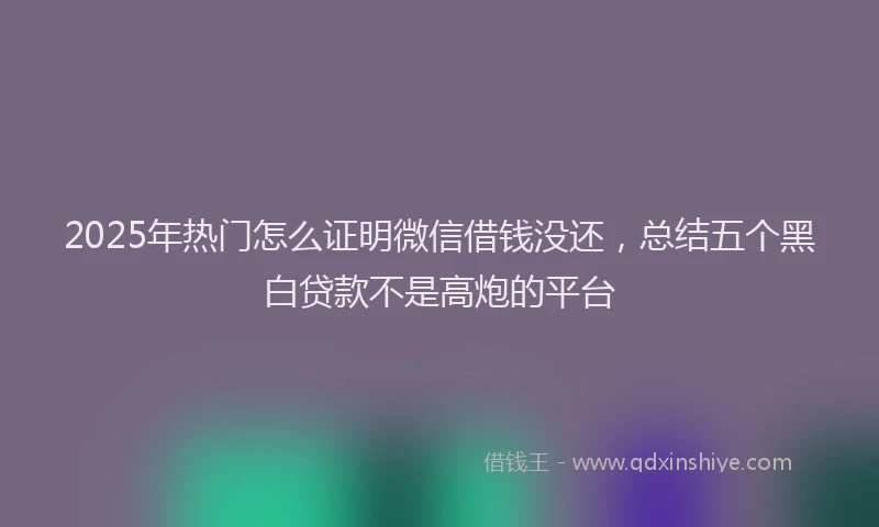 2025年热门怎么证明微信借钱没还，总结五个黑白贷款不是高炮的平台