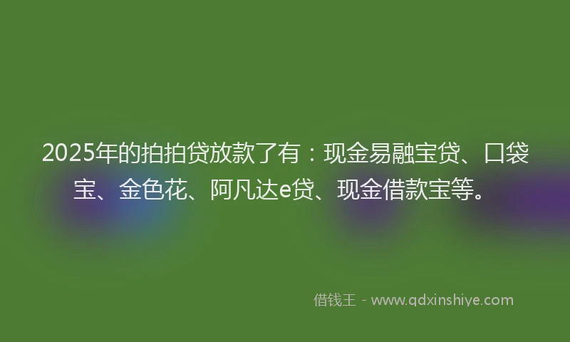 2025年的拍拍贷放款了有：现金易融宝贷、口袋宝、金色花、阿凡达e贷、现金借款宝等。
