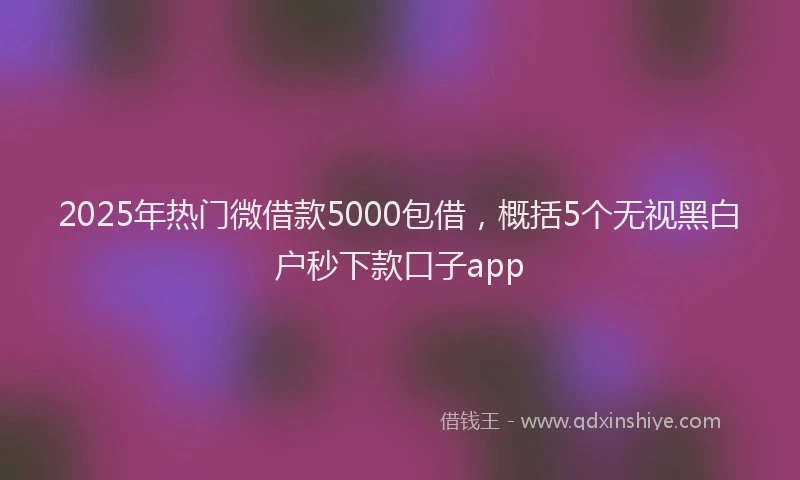2025年热门微借款5000包借，概括5个无视黑白户秒下款口子app