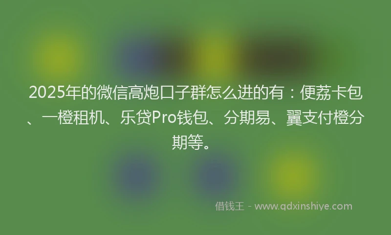 2025年的微信高炮口子群怎么进的有：便荔卡包、一橙租机、乐贷Pro钱包、分期易、翼支付橙分期等。