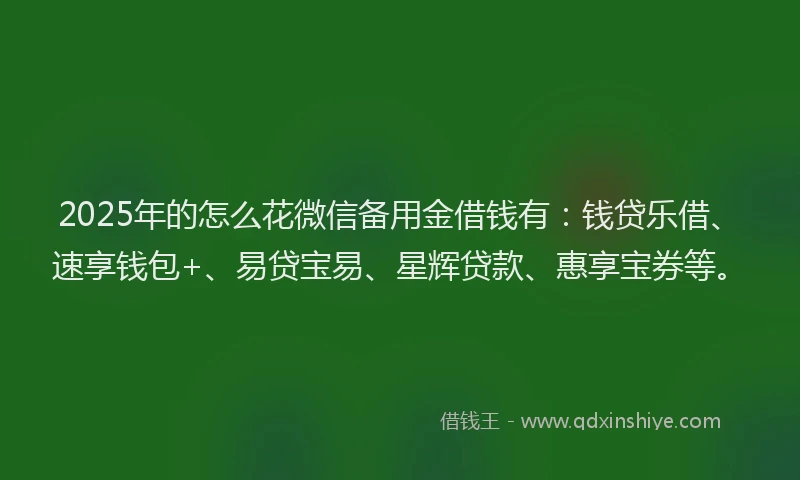 2025年的怎么花微信备用金借钱有：钱贷乐借、速享钱包+、易贷宝易、星辉贷款、惠享宝券等。