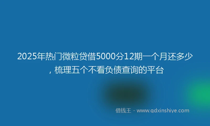 2025年热门微粒贷借5000分12期一个月还多少，梳理五个不看负债查询的平台