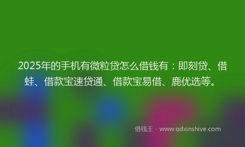 2025年的手机有微粒贷怎么借钱有：即刻贷、借蛙、借款宝速贷通、借款宝易借、鹿优选等。
