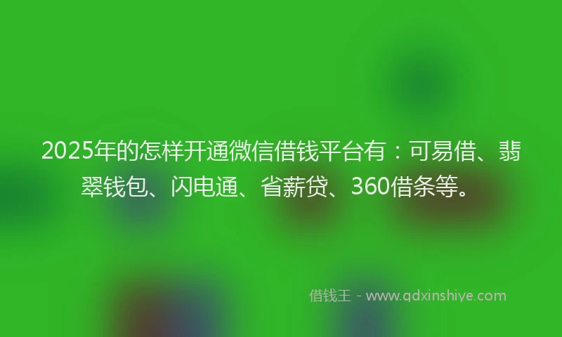 2025年的怎样开通微信借钱平台有：可易借、翡翠钱包、闪电通、省薪贷、360借条等。