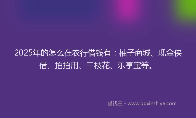 2025年的怎么在农行借钱有：柚子商城、现金侠借、拍拍用、三枝花、乐享宝等。