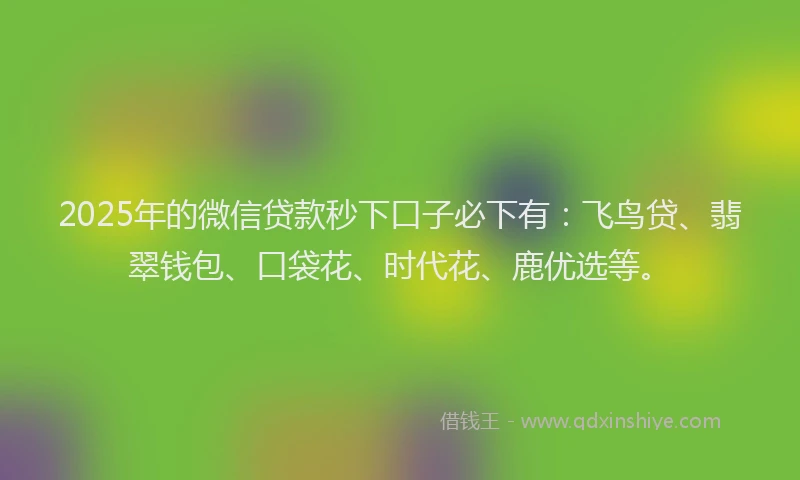 2025年的微信贷款秒下口子必下有：飞鸟贷、翡翠钱包、口袋花、时代花、鹿优选等。