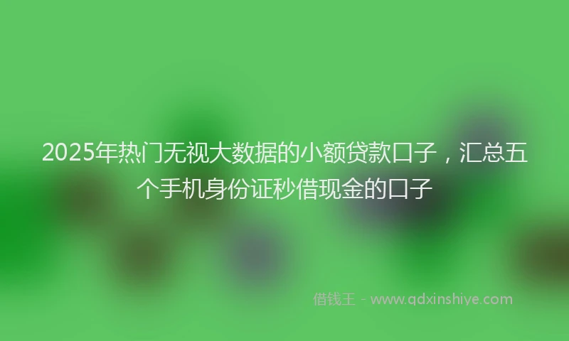 2025年热门无视大数据的小额贷款口子，汇总五个手机身份证秒借现金的口子