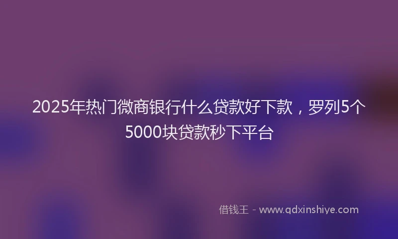 2025年热门微商银行什么贷款好下款，罗列5个5000块贷款秒下平台