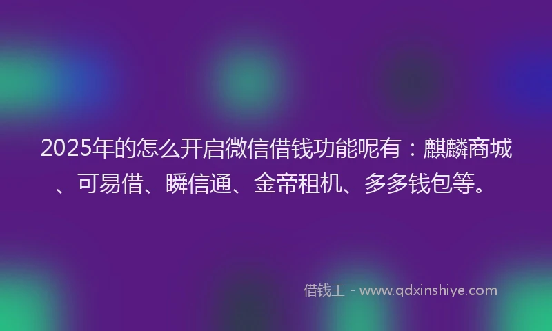2025年的怎么开启微信借钱功能呢有：麒麟商城、可易借、瞬信通、金帝租机、多多钱包等。