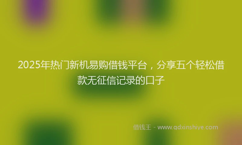 2025年热门新机易购借钱平台，分享五个轻松借款无征信记录的口子
