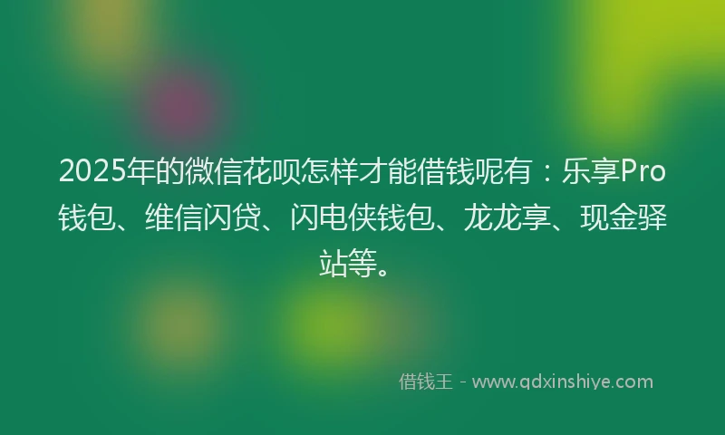 2025年的微信花呗怎样才能借钱呢有：乐享Pro钱包、维信闪贷、闪电侠钱包、龙龙享、现金驿站等。