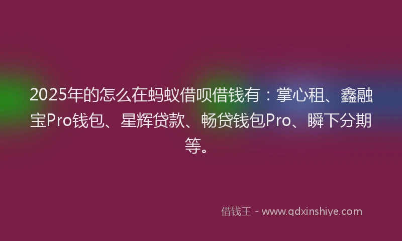 2025年的怎么在蚂蚁借呗借钱有：掌心租、鑫融宝Pro钱包、星辉贷款、畅贷钱包Pro、瞬下分期等。