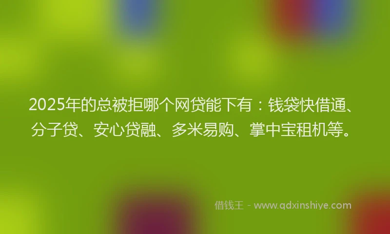 2025年的总被拒哪个网贷能下有：钱袋快借通、分子贷、安心贷融、多米易购、掌中宝租机等。