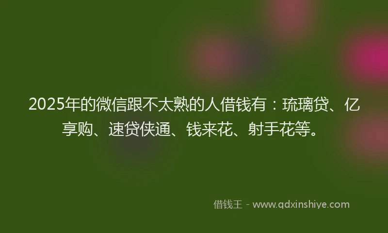 2025年的微信跟不太熟的人借钱有：琉璃贷、亿享购、速贷侠通、钱来花、射手花等。