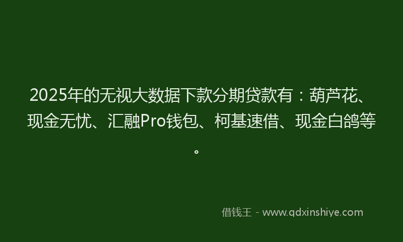 2025年的无视大数据下款分期贷款有：葫芦花、现金无忧、汇融Pro钱包、柯基速借、现金白鸽等。
