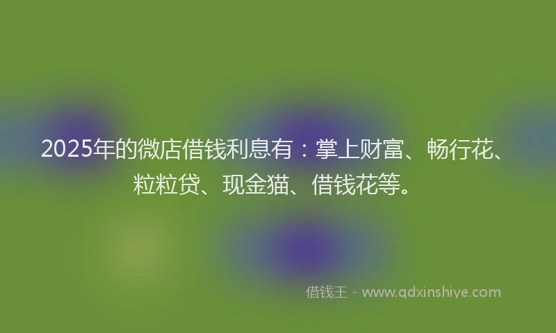 2025年的微店借钱利息有：掌上财富、畅行花、粒粒贷、现金猫、借钱花等。