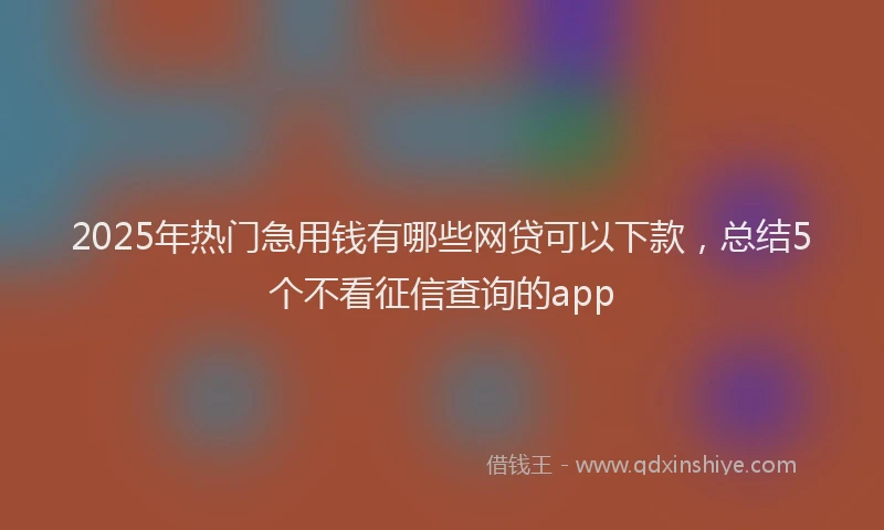 2025年热门急用钱有哪些网贷可以下款，总结5个不看征信查询的app