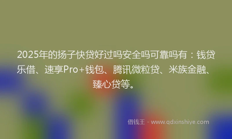 2025年的扬子快贷好过吗安全吗可靠吗有：钱贷乐借、速享Pro+钱包、腾讯微粒贷、米族金融、臻心贷等。
