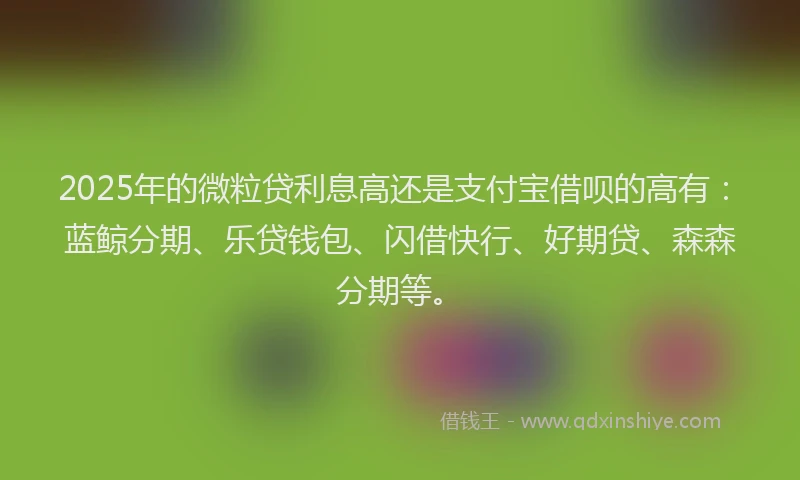 2025年的微粒贷利息高还是支付宝借呗的高有：蓝鲸分期、乐贷钱包、闪借快行、好期贷、森森分期等。