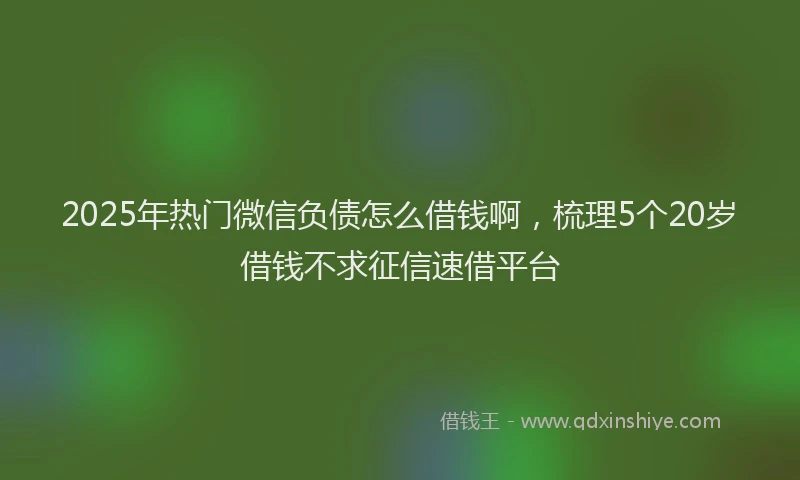 2025年热门微信负债怎么借钱啊，梳理5个20岁借钱不求征信速借平台