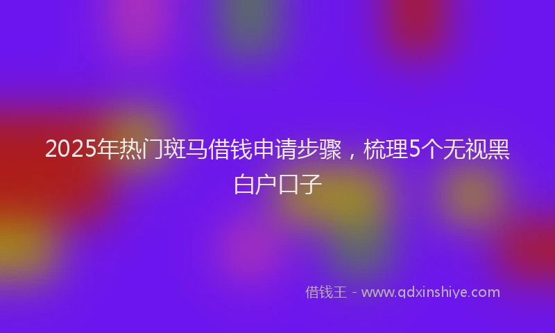 2025年热门斑马借钱申请步骤，梳理5个无视黑白户口子