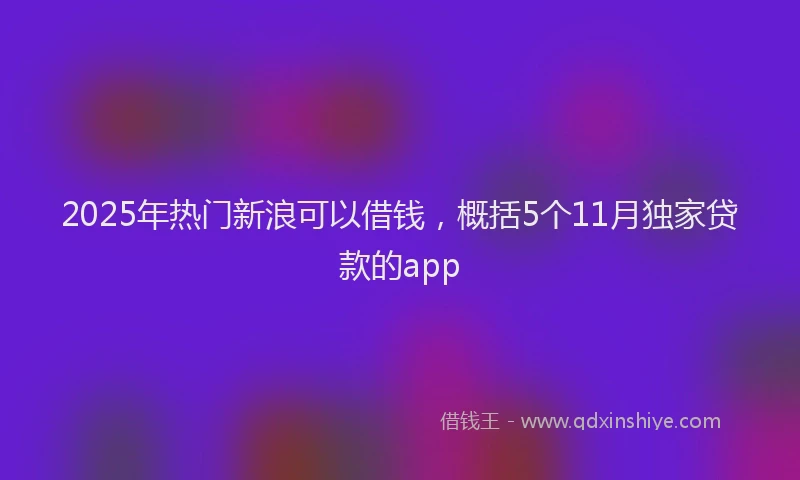 2025年热门新浪可以借钱，概括5个11月独家贷款的app