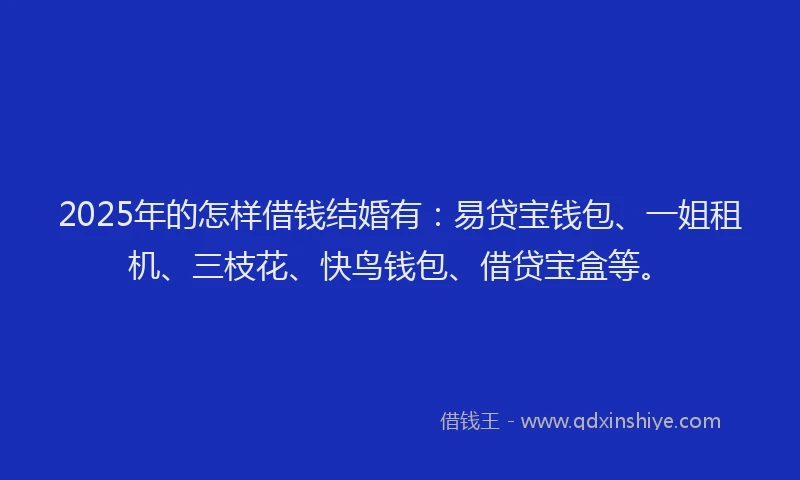 2025年的怎样借钱结婚有：易贷宝钱包、一姐租机、三枝花、快鸟钱包、借贷宝盒等。