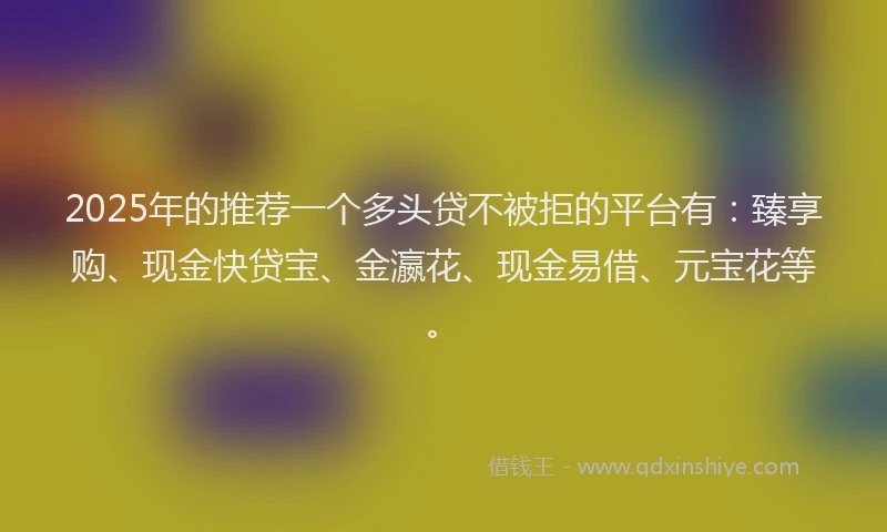 2025年的推荐一个多头贷不被拒的平台有：臻享购、现金快贷宝、金瀛花、现金易借、元宝花等。