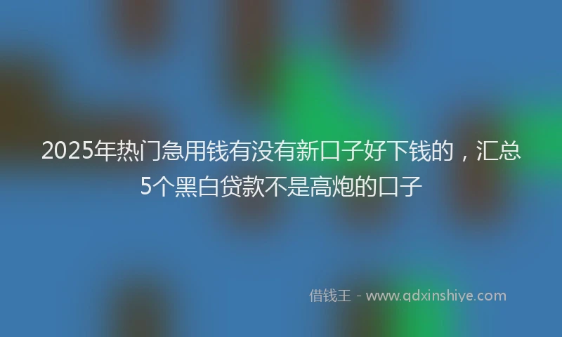2025年热门急用钱有没有新口子好下钱的，汇总5个黑白贷款不是高炮的口子