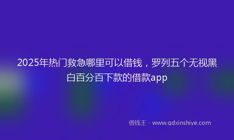 2025年热门救急哪里可以借钱，罗列五个无视黑白百分百下款的借款app