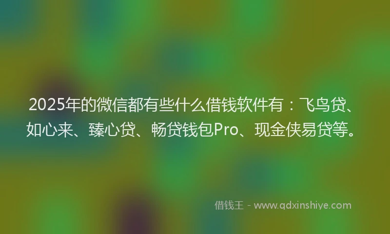 2025年的微信都有些什么借钱软件有：飞鸟贷、如心来、臻心贷、畅贷钱包Pro、现金侠易贷等。