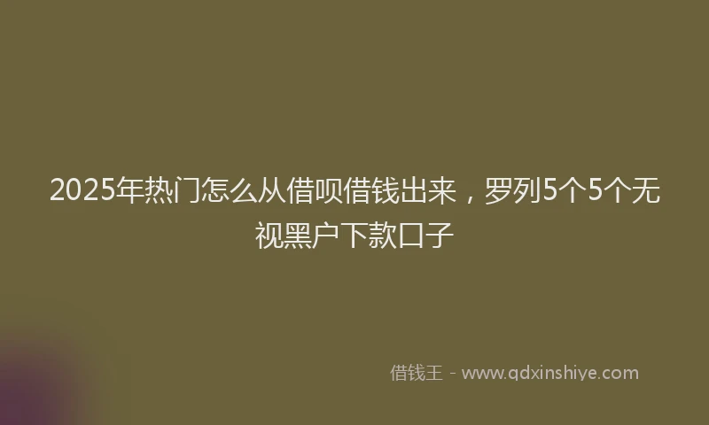 2025年热门怎么从借呗借钱出来，罗列5个5个无视黑户下款口子