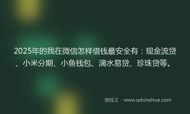 2025年的我在微信怎样借钱最安全有：现金流贷、小米分期、小鱼钱包、滴水易贷、珍珠贷等。