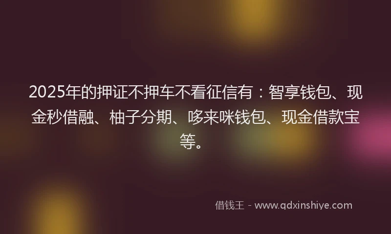 2025年的押证不押车不看征信有：智享钱包、现金秒借融、柚子分期、哆来咪钱包、现金借款宝等。