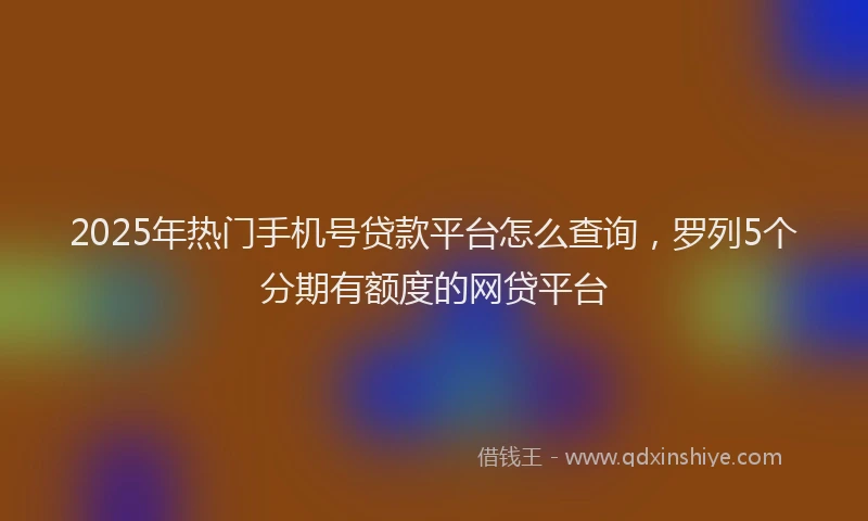 2025年热门手机号贷款平台怎么查询，罗列5个分期有额度的网贷平台