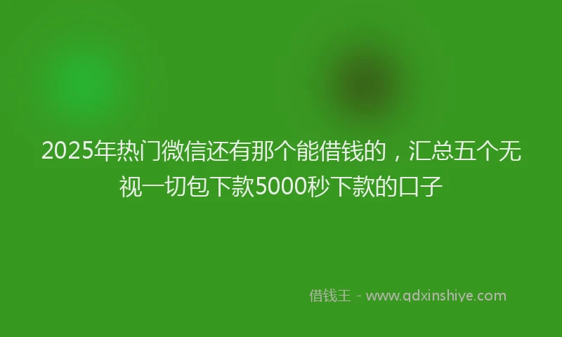 2025年热门微信还有那个能借钱的，汇总五个无视一切包下款5000秒下款的口子
