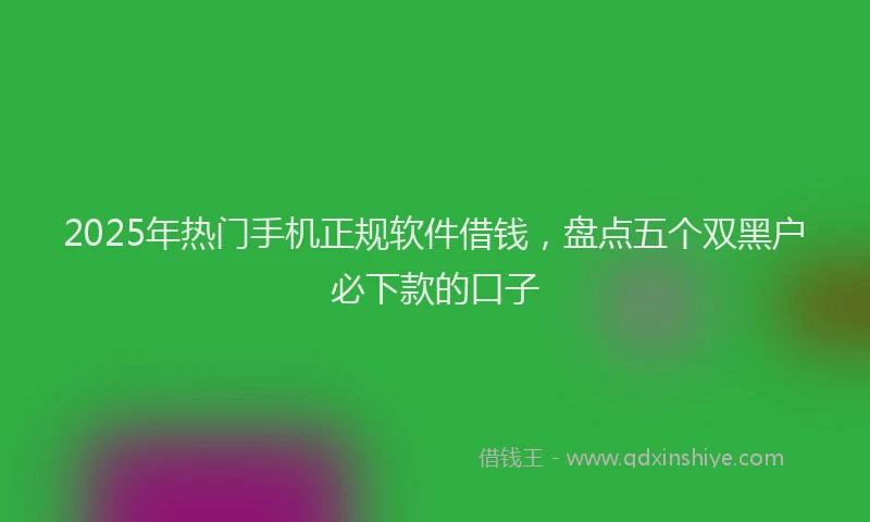 2025年热门手机正规软件借钱，盘点五个双黑户必下款的口子
