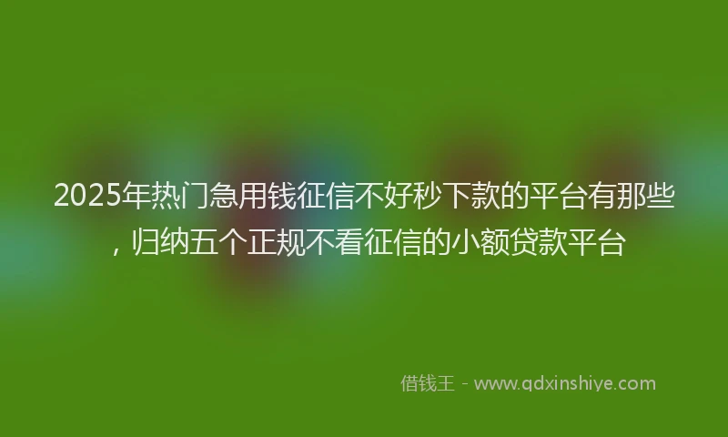 2025年热门急用钱征信不好秒下款的平台有那些，归纳五个正规不看征信的小额贷款平台