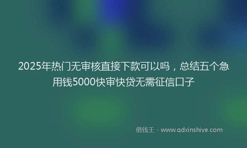 2025年热门无审核直接下款可以吗，总结五个急用钱5000快审快贷无需征信口子