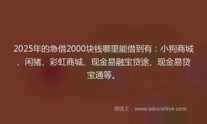 2025年的急借2000块钱哪里能借到有：小狗商城、闲猪、彩虹商城、现金易融宝贷途、现金易贷宝通等。